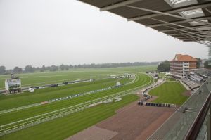 york racecourse 1.jpg